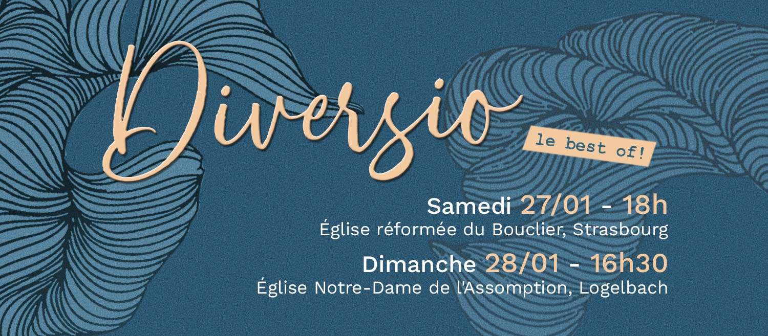 diversio best of 27 janvier strasbourg 28 janvier logelbach (wintzenheim)